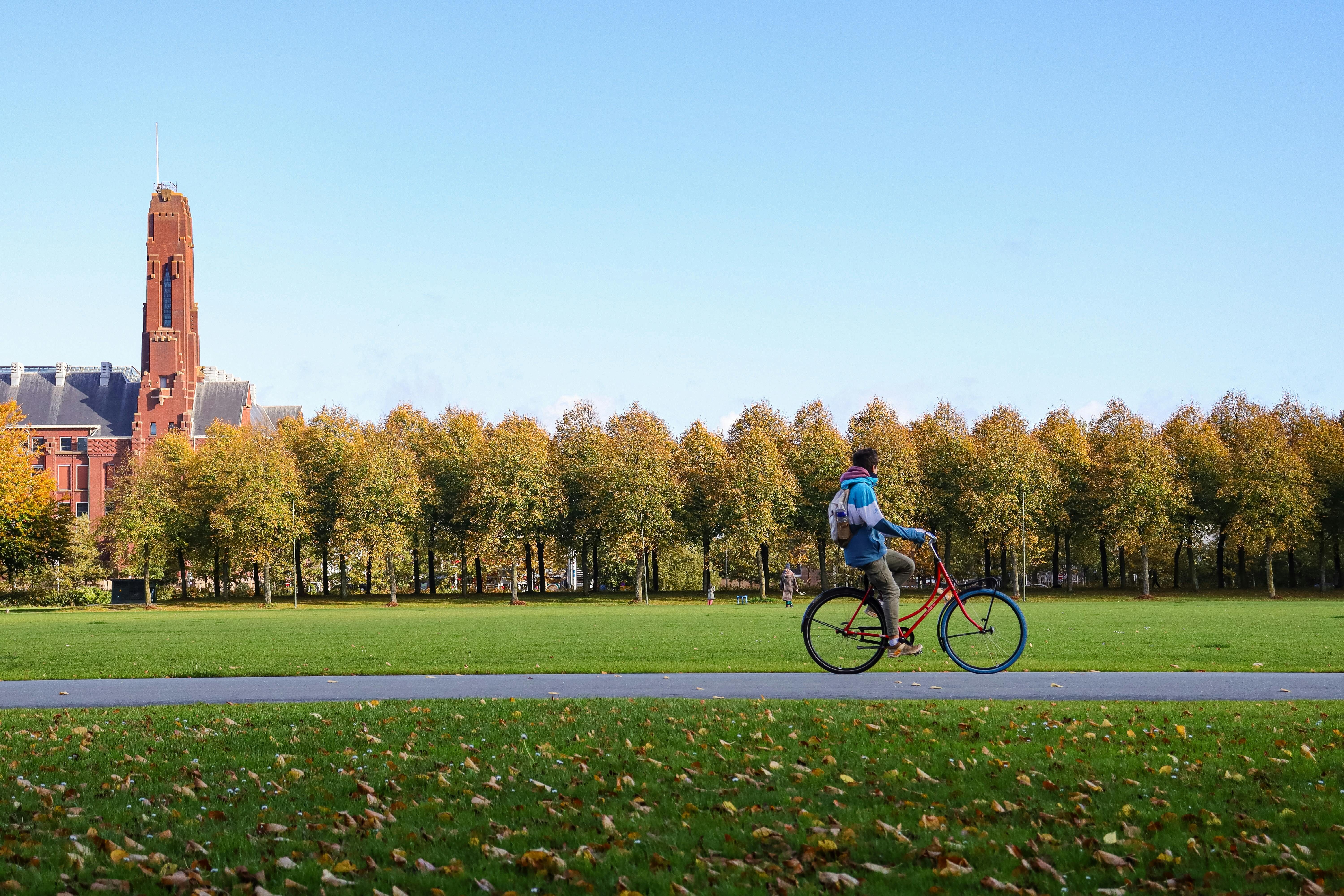 pexels kaue barbier 710715348 30181303