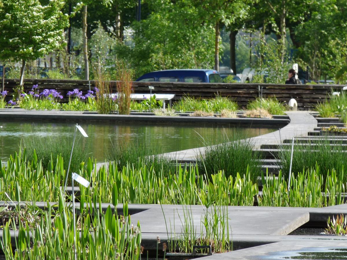 jardin botanique bordeaux