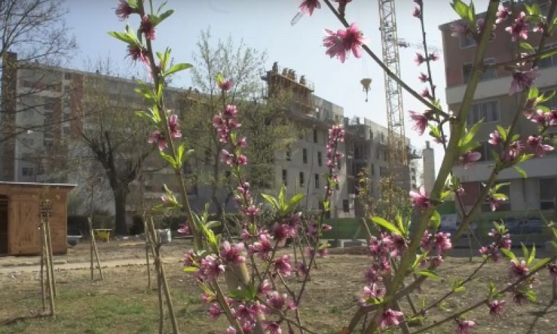 JE12 – Quel(s) avenir(s) pour le logement social en France ?